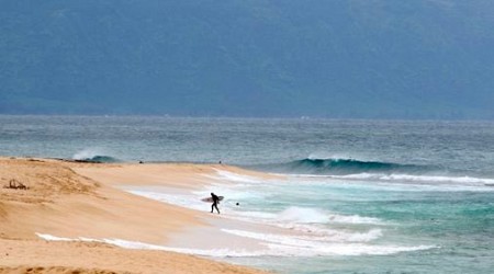 Hawaii lifeguard dies in shark attack while surfing off Oahu