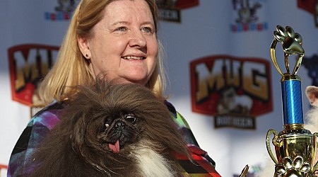 A Tenacious and Wild Pekingese Is the Ugliest Dog, After Five Tries
