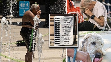 NYC pols refuse to open offices as cooling centers during weekend heatwave