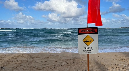 Pipeline surfer killed in shark attack in Hawaii, emergency officials say