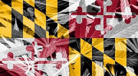 Maryland Marijuana Pardons: Impact On Employers & Job Candidates