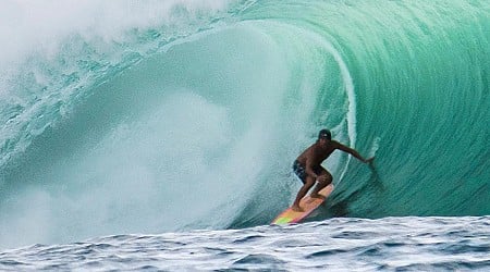 Vom Hai gebissen – Schauspieler Perry stirbt auf Hawaii beim Surfen