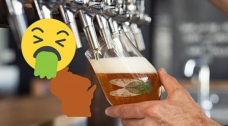 Wisconsin Brewery Has Created a New Beer Using Bugs