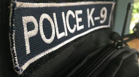K-9 Officer Dies in Hot Car
