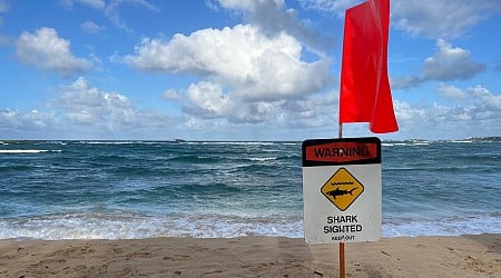 20-year-old tourist injured in potential shark attack in Hawaii