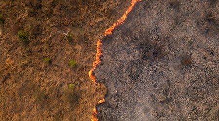 'Breathing smoke': Brazil's Pantanal wetlands hit by record fires