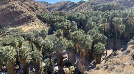 Soaking in the sun and the history of Palm Springs