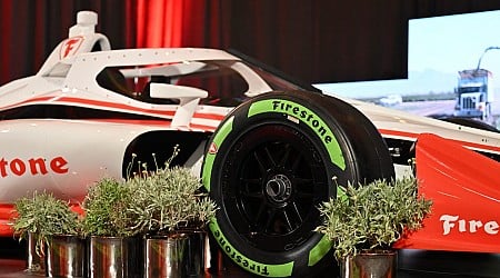 A small shrub used to make IndyCar racing tires could help save rainforests and make deserts greener