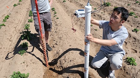 Printed sensors in soil could help farmers improve crop yields and save money