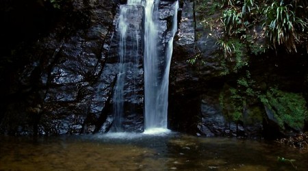 Cachoeiras do Horto (Horto Waterfalls) in Rio de Janeiro, Brazil