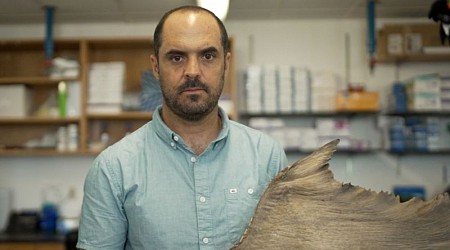 A third of sharks are threatened with extinction. Here’s what one man is doing to help