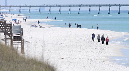 Florida Authorities Warn of Shark Dangers Along Gulf Coast After Three People Are Attacked