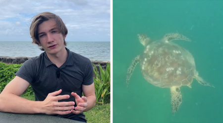 18YO Awarded $10K For Solving Why Local Hawaii Turtles Suffer From Cancer So Frequently