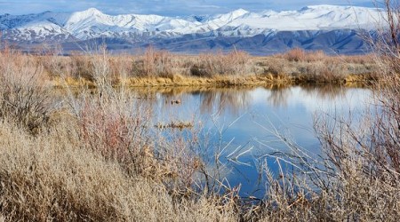 Stillwater National Wildlife Refuge in Fallon, Nevada