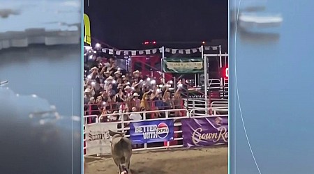Rodeo bull hops fence at Oregon arena, injures 4...