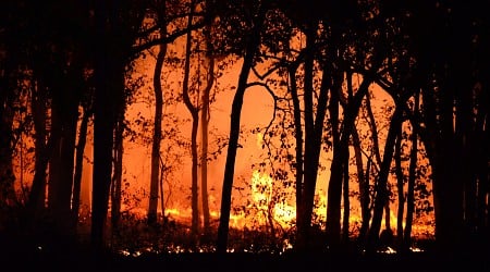 Public more confident connecting increasing heat, wildfires with climate change, study finds