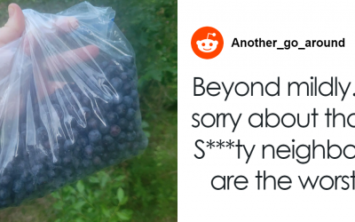 Woman Furious After Neighbors Come Over Uninvited And Pick Her Blueberry Bush Clean