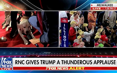 Fox News Airs Dog Interview Over Kimberly Guilfoyle’s RNC Speech