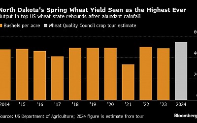 Wheat Supplies Set to Expand With Record North Dakota Yields
