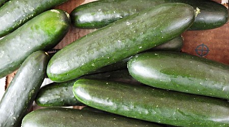 Cucumbers sold in 14 states recalled due to possible salmonella