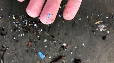 How bad are microplastics in New Hampshire?