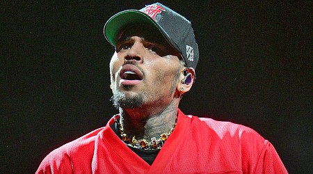 Chris Brown Loses Cool After Suspension Wire Glitch at Concert
