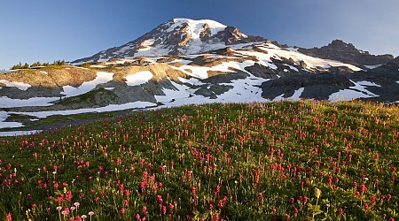 Body of skier missing since May recovered from Washington park