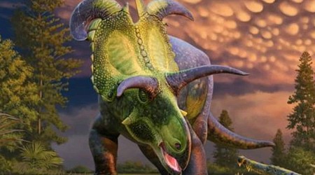 Nova espécie de dinossauro tem os maiores chifres que você já viu