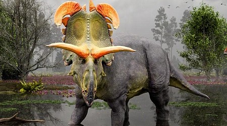 Un incroyable cousin du Triceratops découvert aux États-Unis
