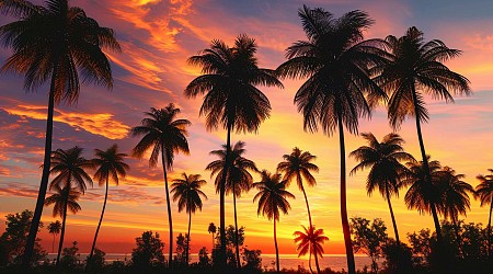 Pendant ce temps, les Caraïbes et les Antilles étouffent sous des températures nocturnes jamais atteintes