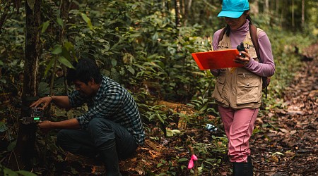 Unlocking biodiversity insights from the tropical Andes