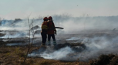 'Out of control fires' in Brazil wetlands spark state of emergency