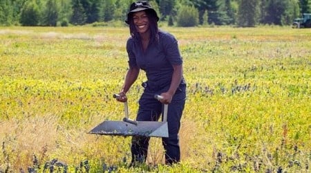 Wild Blueberries: A Journey Through Time and Tradition In Maine