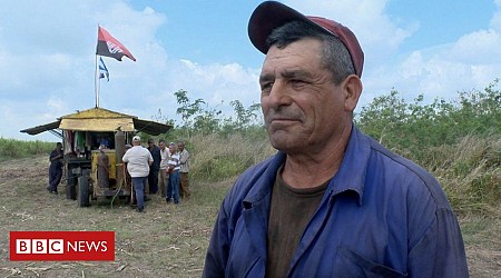 Por que indústria do açúcar de Cuba regrediu 2 séculos em 5 anos