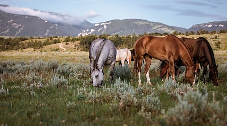 Finding Myself on an Adventurous (and Solo) Wyoming Road Trip