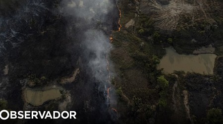 Brasil avança para criação de um centro regional de segurança da Amazónia