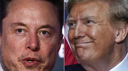 Elon Musk is going to bat for Trump, calling his guilty verdict on 34 counts a 'trivial matter'