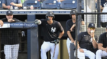 Yankees' Top Prospects, Farm System Progress Report, Draft Targets