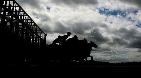 Dornoch, ex-MLB star Werth's colt, wins Belmont