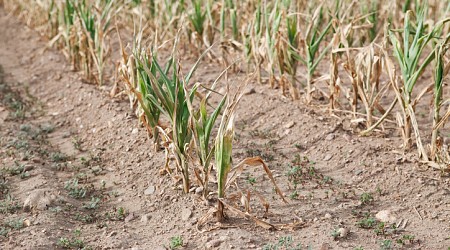 Counties with the worst droughts in Ohio