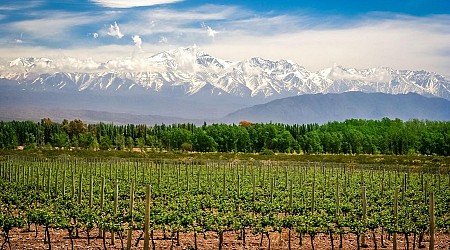 Why You Should Discover The Exceptional Wine Values From Argentina