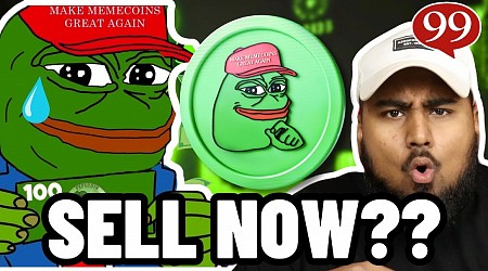 Meme Coin Market Slumps, But Pepe (PEPE) Shows Resilience – Buying the Dip or Exploring Play-to-Earn Presale for Passive Income?