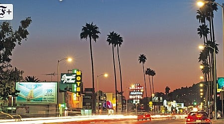 Unter den Kronen des Sunset Boulevard: L.A. streitet über seine Palmen