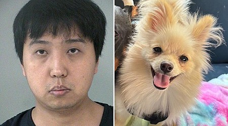 Texas husband killed wife’s dog, claiming she loved pooch more than him: cops