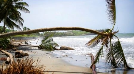 Hurricane Beryl roars toward Jamaica after killing at least 6 people in the southeast Caribbean