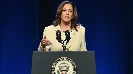 If Biden drops out, who could replace him? Harris does better against Trump in polls