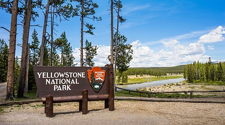 Suspect fatally shot by park rangers at Yellowstone after allegedly making threats