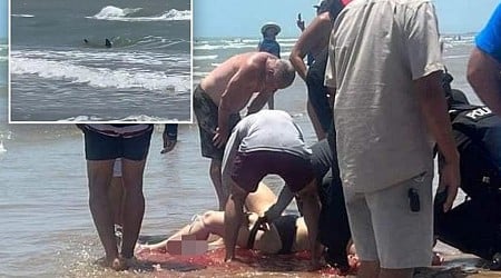 Same shark attacks 4 swimmers on Texas' South Padre Island