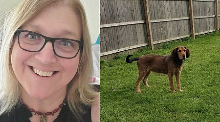 I'm a single mom who rents my backyard to dog owners. I earned $3,000 in 11 months to help me pay bills.