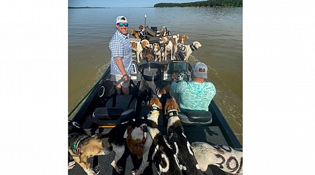 38 dogs were close to drowning on a Mississippi lake. But some fishermen had quite a catch